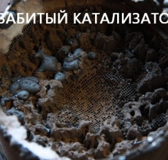 забиты кат